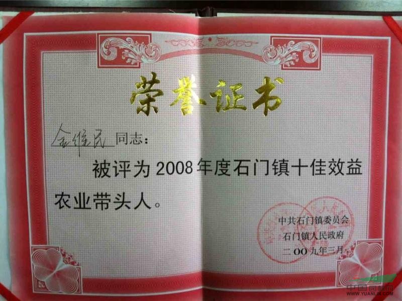 带头人